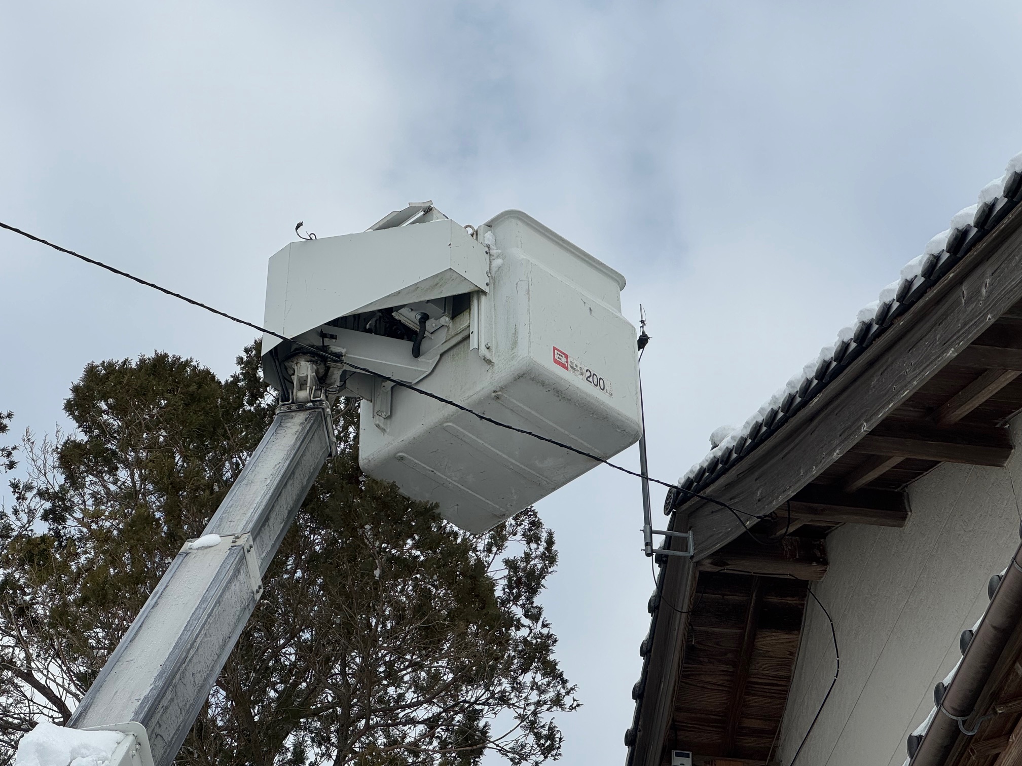 ⚡落雷だ！⚡ 写真