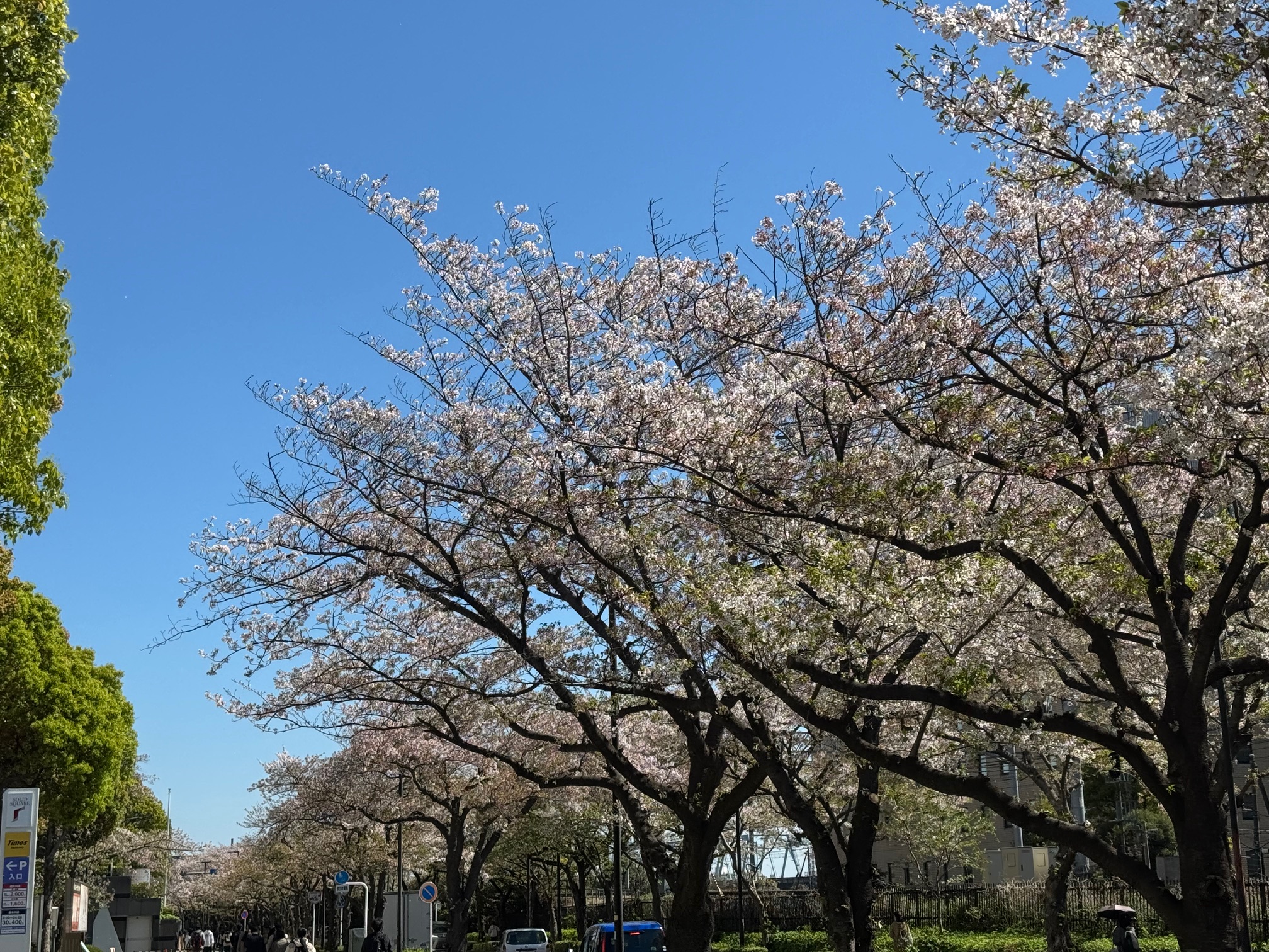 ハウスdeオーガニック４月研修 写真