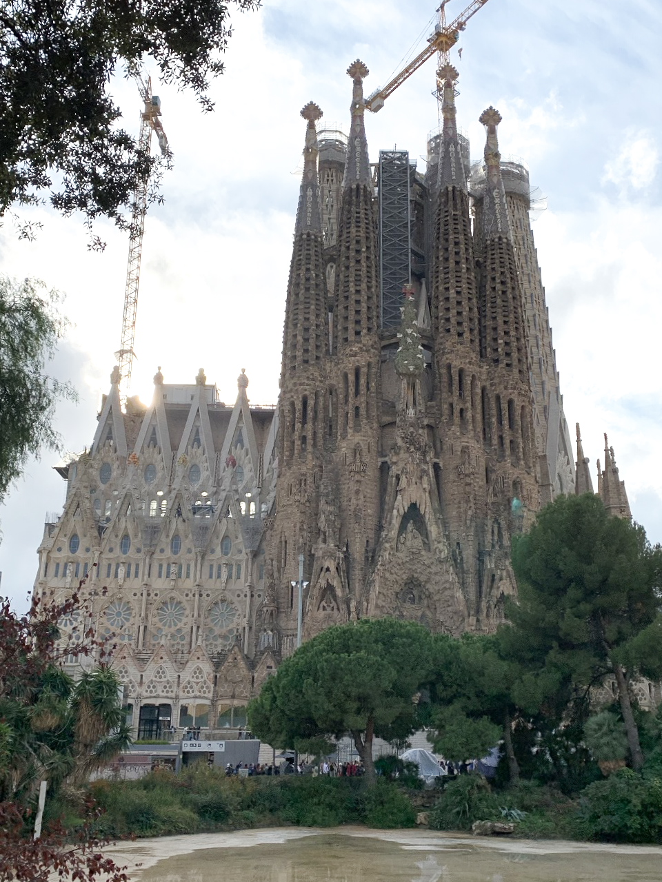 サグラダ・ファミリアに学ぶ、本物の建築 写真